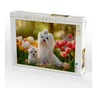 Puzzle · Malteser - Zauberhafter Frühlingsmoment | Blütenpracht und Hundeglück · 2000 pièces · Format assemblé 90 × 67 cm · CALVENDO Puzzle