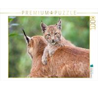 Puzzle · Maman m'appartient | Jeune lynx auprès de sa mère · 1000 pièces · Format assemblé 64 × 48 cm · CALVENDO Puzzle