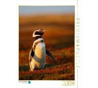 Puzzle · Manchot de Magellan | 2000 pièces · Format assemblé 90 × 67 cm · CALVENDO Puzzle