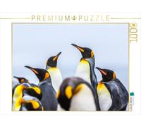 Puzzle · Manchots royaux - Rassemblement | 1000 pièces · Format assemblé 64 × 48 cm · CALVENDO Puzzle