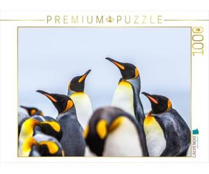 Puzzle · Manchots royaux - Rassemblement | 1000 pièces · Format assemblé 64 × 48 cm · CALVENDO Puzzle