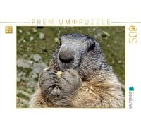 Puzzle · Marmotte | Une marmotte en train de grignoter des cacahuètes · 500 pièces · Format assemblé 48 × 36 cm · CALVENDO Puzzle