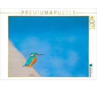 Puzzle · Martin-pêcheur | Un martin-pêcheur sur un mur · 1000 pièces · Format assemblé 64 × 48 cm · CALVENDO Puzzle