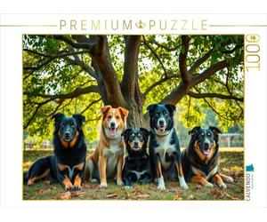 Puzzle · Mélanges de promenades Bien-aimés | 5 d'un coup · 1000 pièces · Format assemblé 64 × 48 cm · CALVENDO Puzzle