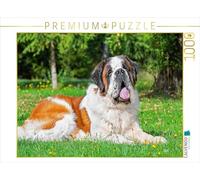 Puzzle · Même couché, C'est Un géant | 1000 pièces · Format assemblé 64 × 48 cm · CALVENDO Puzzle