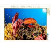 Puzzle · Mérou juvénile dans Un récif corallien | Le mérou bijou : camouflage, beauté et élégance dans le récif… · 1000 pièces · Format assemblé 64 × 48 cm · CALVENDO Puzzle