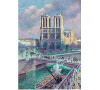 Notre-dame de paris de luce