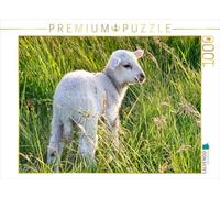 Puzzle · Mignon Petit Mouton | Un motif du calendrier "Mignons petits moutons · 1000 pièces · Format assemblé 64 × 48 cm · CALVENDO Puzzle