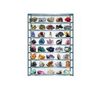 Eurographics Puzzle – Minéraux du monde – 1000 pièces – Multicolore