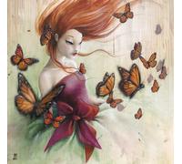 Puzzle misstigri - papillons - 1000 pièces