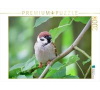 Puzzle · Moineau des Champs | 2000 pièces · Format assemblé 90 × 67 cm · CALVENDO Puzzle