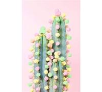Ravensburger – Puzzle adulte Puzzle Moment 200 pièces Cactus 17367