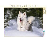 Puzzle · Mon Chien de l'île, Djarfur (4 | La joie de vivre à l'état pur · 1000 pièces · Format assemblé 64 × 48 cm · CALVENDO Puzzle