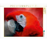 Puzzle · Mon Perroquet coloré | 1000 pièces · Format assemblé 64 × 48 cm · CALVENDO Puzzle