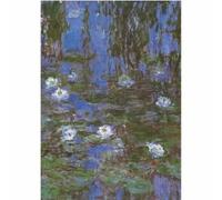 Puzzle Monet Claude - Nymphéas - 1000 pièces - Tableaux et peintures - Adulte