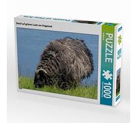 Puzzle · Mouton dans la Campagne verdoyante de Helgoland | Animaux de compagnie · 1000 pièces · Format assemblé 64 × 48 cm · CALVENDO Puzzle
