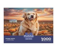 Puzzle Mural décoratif représentant Un Adorable Golden Retriever Parmi des citrouilles. Jeu éducatif et détendu de 1000pcs70x50cm.