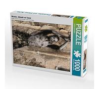 Puzzle · Murales - Centre Historique de Tarente | 1000 pièces · Format assemblé 64 × 48 cm · CALVENDO Puzzle