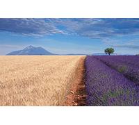 Puzzle mystère 1000 pièces, beauté Naturelle, blé, Champs, Lavande 50x70CM