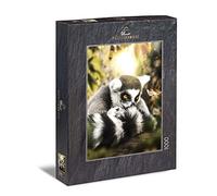 Puzzle Mystique Forêt tropicale - Puzzle classique de 1000 pièces - Puzzle imaginatif d'animaux avec maci et papillon dans la forêt vierge de Madagascar