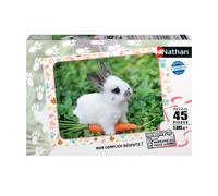 Puzzle N Nathan Puzzle 45 P - Petit Lapin Et Sa Carotte