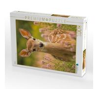 Puzzle · Neugierig | Zarte Anmut inmitten blühender Natur · 1000 pièces · Format assemblé 64 × 48 cm · CALVENDO Puzzle