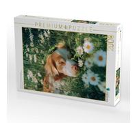 Puzzle · Nicht Kann Mich Jetzt aus der Ruhe bringen | 2000 pièces · Format assemblé 90 × 67 cm · CALVENDO Puzzle