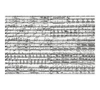 Piatnik Notes De Musique
