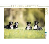 Puzzle · Nous Sommes Une équipe | 4 superbes Appenzeller Sennehund Damen · 1000 pièces · Format assemblé 64 × 48 cm · CALVENDO Puzzle