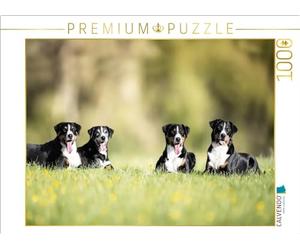 Puzzle · Nous Sommes Une équipe | 4 superbes Appenzeller Sennehund Damen · 1000 pièces · Format assemblé 64 × 48 cm · CALVENDO Puzzle