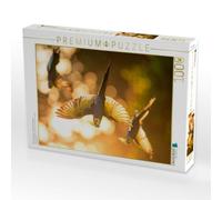 Puzzle · Nymphensittiche - Flugrunde am Morgen | 1000 pièces · Format assemblé 64 × 48 cm · CALVENDO Puzzle