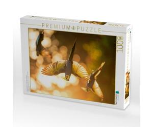 Puzzle · Nymphensittiche - Flugrunde am Morgen | 1000 pièces · Format assemblé 64 × 48 cm · CALVENDO Puzzle