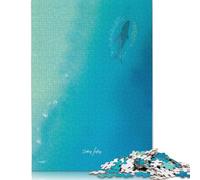 Puzzle Océan d'Émotions 500 pièces pour Adultes et Puzzles en Bois Jeu éducatif Familial 500 pièces (52 x 38 cm)