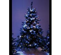 Puzzle Odyssey: Fragmented Visions: Dive into Bold Patterns