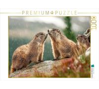 Puzzle · Oh, comme C'est Beau - Une Douche de Pluie | 1000 pièces · Format assemblé 64 × 48 cm · CALVENDO Puzzle
