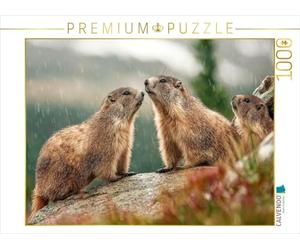 Puzzle · Oh, comme C'est Beau - Une Douche de Pluie | 1000 pièces · Format assemblé 64 × 48 cm · CALVENDO Puzzle