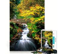 Puzzle Oirase Forêt d'automne 1000 pièces pour Adolescents Souvenirs, Moments de sérénité, découpe Lisse, Cadeau élégant (38x52cm)