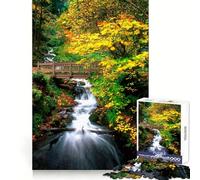 Puzzle Oirase Forêt d'automne 1000 pièces pour Adultes Jeu Intelligent et Amusant à Assembler Ensemble Cadeau saisonnier (38x26cm)