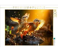 Puzzle · Oiseaux, Je Veux Te conquérir | 1000 pièces · Format assemblé 64 × 48 cm · CALVENDO Puzzle