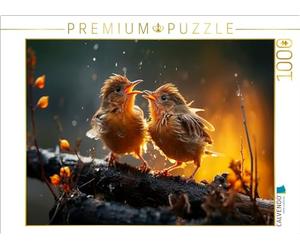 Puzzle · Oiseaux, Le Soleil Arrive déjà | 1000 pièces · Format assemblé 64 × 48 cm · CALVENDO Puzzle