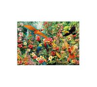 Puzzle Oiseaux Tropicaux 2000 pieces Adulte - Perroquets et Toucan, Foret tropicale, Exotique - Qualite premium - Set puzzle et car