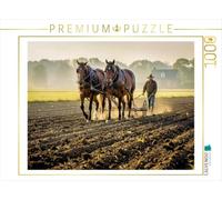 Puzzle · on ne Peut Pas Faire Mieux en Termes de Puissance | de véritables chevaux-vapeur · Des chevaux de trait en action · 1000 pièces · Format assemblé 64 × 48 cm · CALVENDO Puzzle