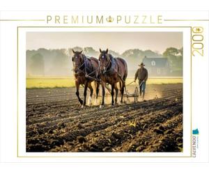 Puzzle · on ne Peut Pas Faire Mieux en Termes de Puissance | de véritables chevaux-vapeur · Des chevaux de trait en action · 2000 pièces · Format assemblé 90 × 67 cm · CALVENDO Puzzle