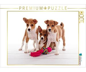 Puzzle · on n'y Peut Rien, on est Tout Simplement Mignons | 1000 pièces · Format assemblé 64 × 48 cm · CALVENDO Puzzle