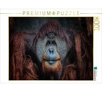 Puzzle · Orang-outan | 1000 pièces · Format assemblé 64 × 48 cm · CALVENDO Puzzle