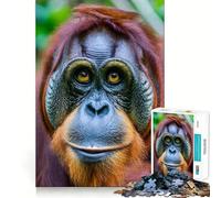 Puzzle Orang-outan 1000 pièces pour Adultes, défi cérébral, Jeu de Loisirs, découpe Nette, Cadeau Exceptionnel (50x75cm)