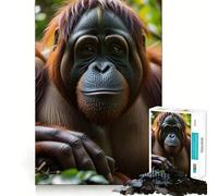 Puzzle Orang-outan Bornéo Adolescents 1000 Pièces Renforce Les Souvenirs Temps paisible Qualité supérieure Cadeau Classique (50x75cm)