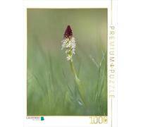 Puzzle · Orchis des prés | Neotinea ustulata, une espèce d'orchidée poussant à l'état… · 1000 pièces · Format assemblé 64 × 48 cm · CALVENDO Puzzle