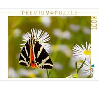 Puzzle · Ours Russe | 1000 pièces · Format assemblé 64 × 48 cm · CALVENDO Puzzle