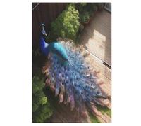 Puzzle Paon Puzzles pour AdultesPuzzles en Bois De 1000 Pièces Adultes Cadeaux Jeu Stimulant （78×53cm）